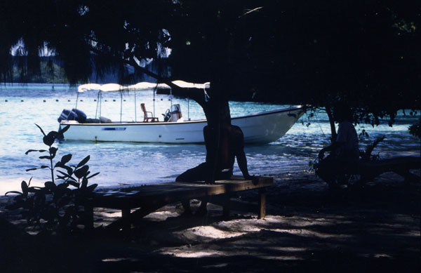 �K�����A�E�X��