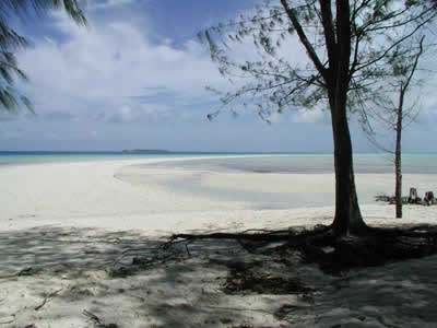 �����O�r�[�`