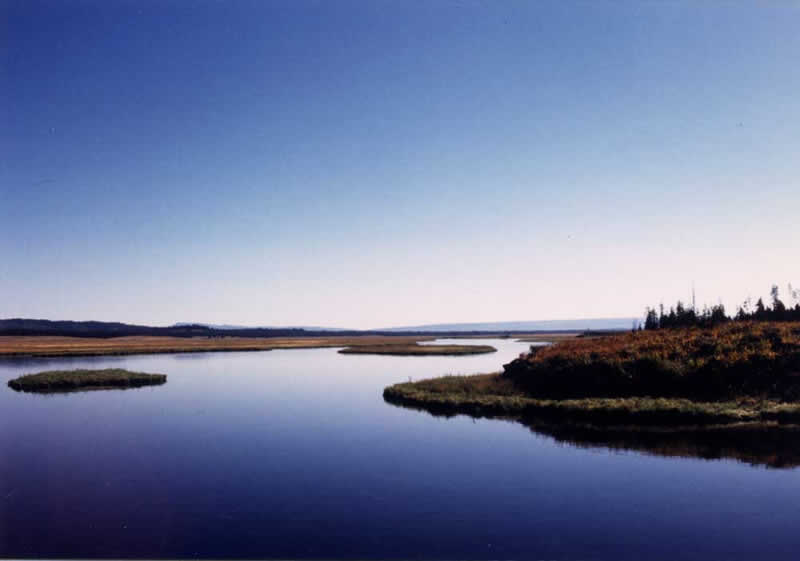 �w�����[�Y�t�H�[�N