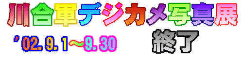 ^Cg