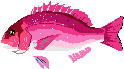 hӂ