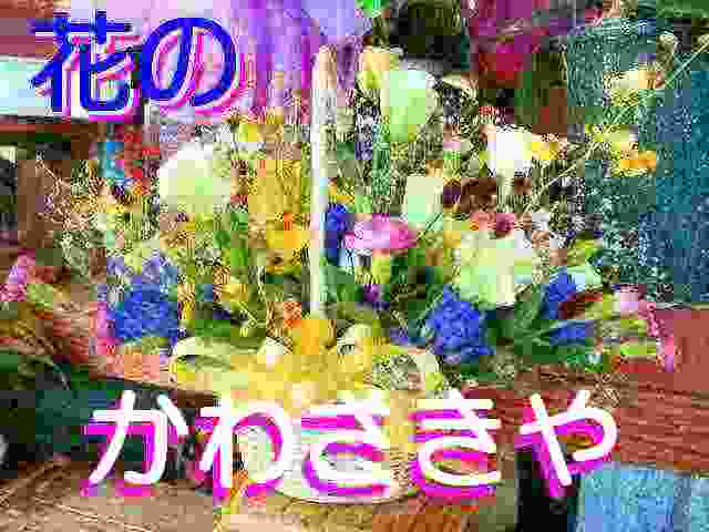 Ԃ̂킳