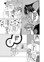 �T���v���P