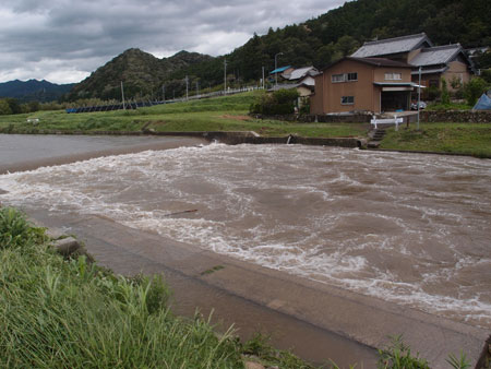 台風直後の男川