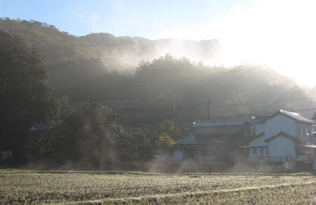 雲谷