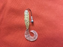 ジグヘッド刺し1