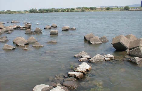 オカムラワンド本流側浅瀬テトラ付近