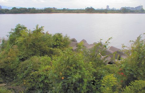 神崎川合流本流岬