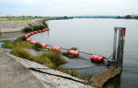 神崎川水門ブイ