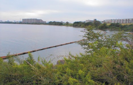 神崎川水門釣り禁止