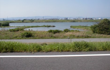 鳥飼大橋正面ワンド