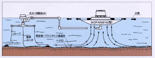 バイオファン概念図