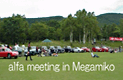 Megamiko Meeting