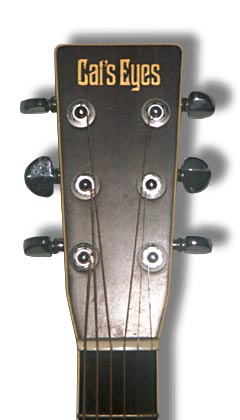 LesPaul Head