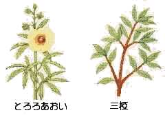 Ƃ날EO