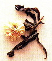 菊花茶