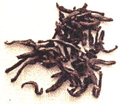 pg