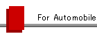 For Automobile