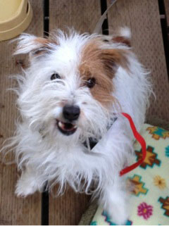 やさぐれジャック