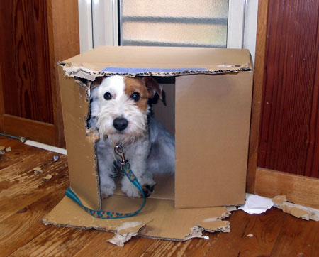 段ボールハウス