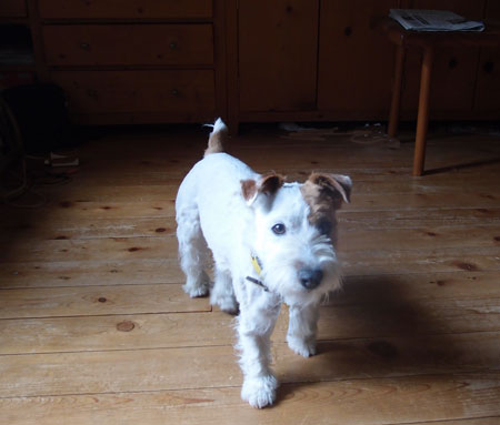 ジャックの自由