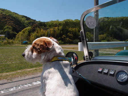 ジャックとスーパーセブン