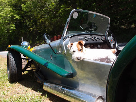 ジャックラッセルとスーパーセブン