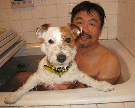 ジャックラッセルの入浴