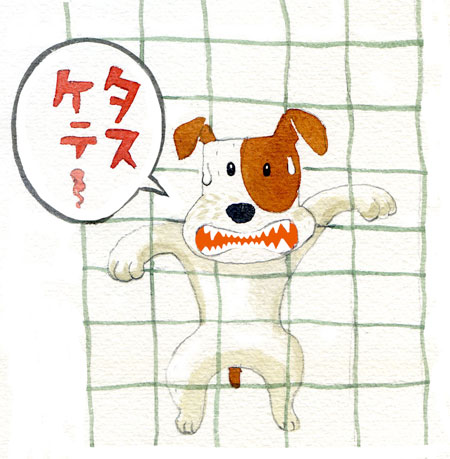 ジャックからまる