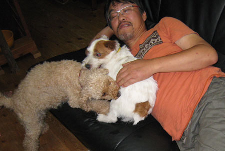 ジャックラッセルテリア