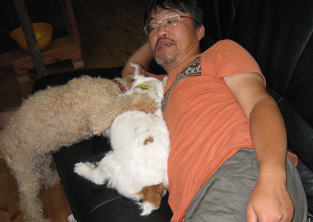 ジャックラッセルテリア