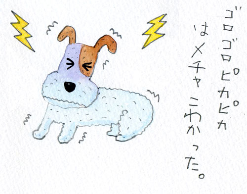 ジャックラッセルテリア