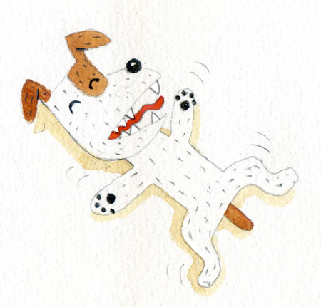 ジャックラッセルテリア