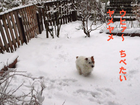 ジャックと雪
