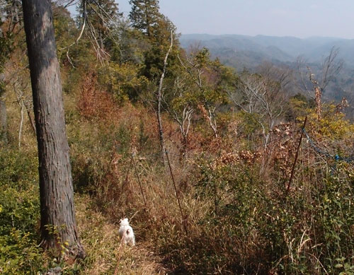 ジャックの登山