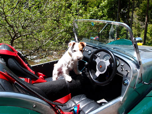 ジャックとセブン