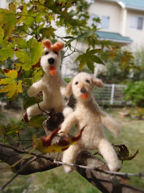 ジャックとモカ