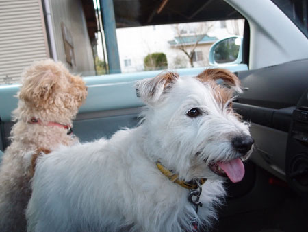 モカとジャック