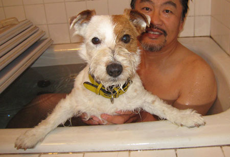 ジャックラッセルテリア