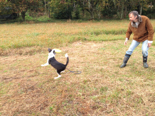 コリントヘンプ