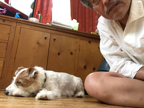 ジャックラッセル