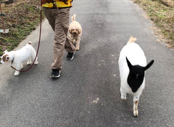 モカ.jジャック.フー