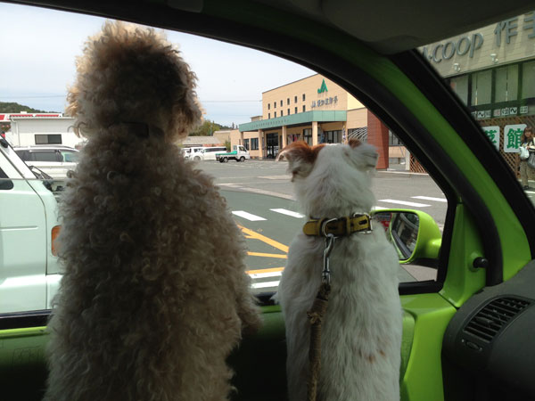 モカとジャック