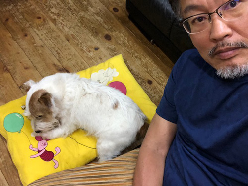 ジャックラッセルテリア