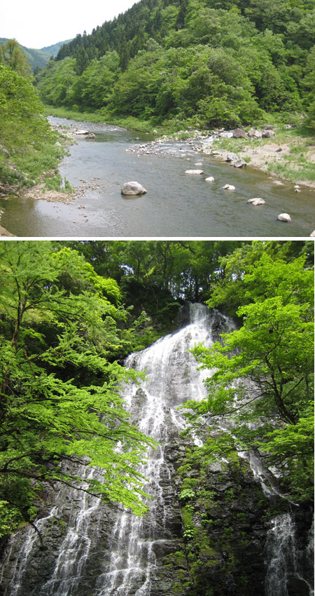 九頭竜水系