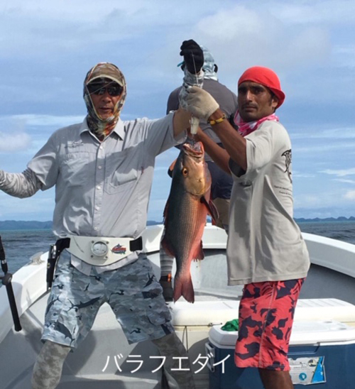 バラフエダイ