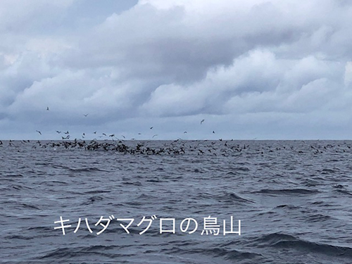 鳥山