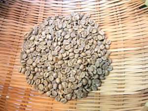 生豆