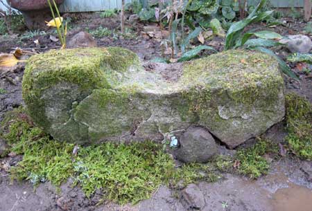 苔の岩
