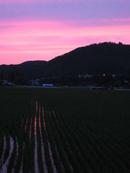 夕日